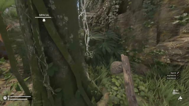 Green Hell Multiplayer - Hari Pertama Kita Langsung di Serang Macan смотреть онлайн