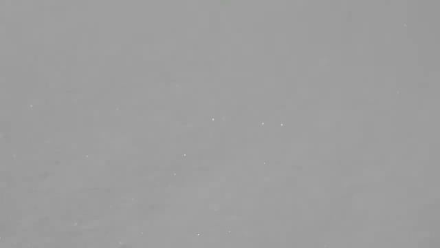 ❄💧Снеговая вода для растений🌿 смотреть онлайн