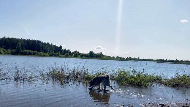 Дурачимся как умеем смотреть онлайн