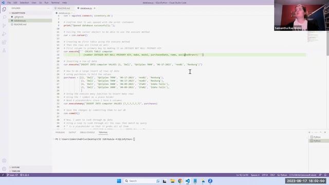 Using Python with SQL Databases смотреть онлайн