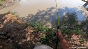 РЫБАЛКА НА ТЕРЕКЕ ПРОРЕЗЬ СОМ!!!