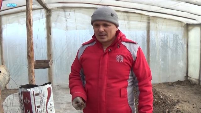 КАК ВЫБРАТЬ ТОРФЯНОЙ СУБСТРАТ. смотреть онлайн