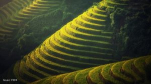 Ханг-Барабан и Индийская Табла • МУЗЫКА ДЛЯ ЙОГИ • Позитивные вибрации • Медитация, Снятие стресса.