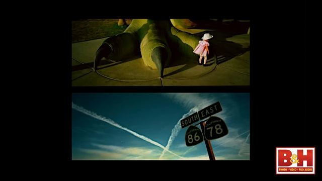 Contemporary Trends in Photography смотреть онлайн