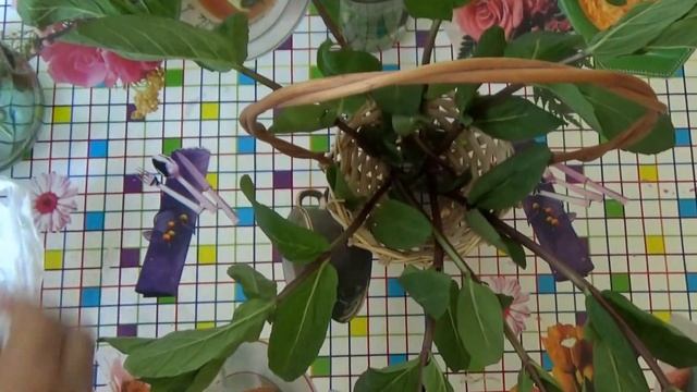 Учим Делать С Любовью