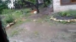 Погода в Черкесске