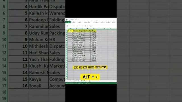 How to copy the visible data in Excel/ How to use visible formula in Excel смотреть онлайн