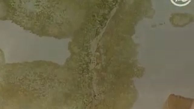 Домашняя пыль-убийца