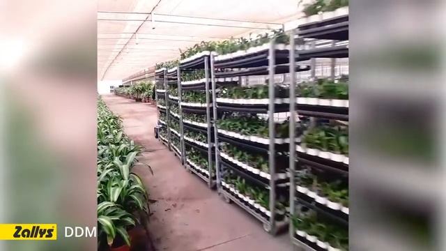 Zallys K3 - трехколесный электроскутер с местом для оператора. смотреть онлайн
