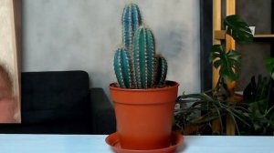 Канал Никита Мартинес