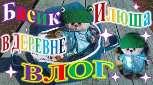 Басик Илюша в деревне. Влог.