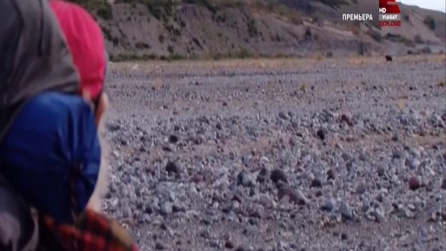 5 смотреть онлайн