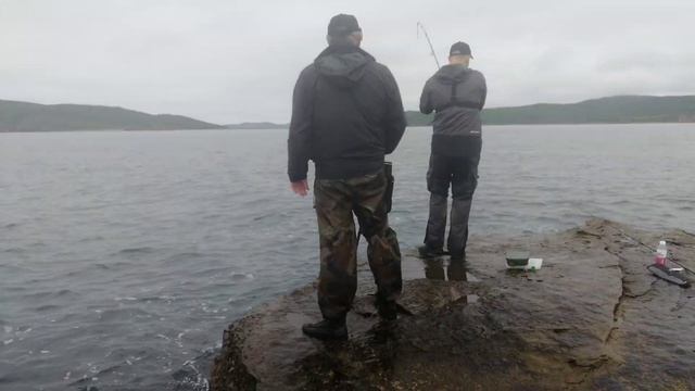 Антохина лакедра смотреть онлайн