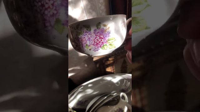 Винтаж сирени в интерьере на фоне солнца смотреть онлайн