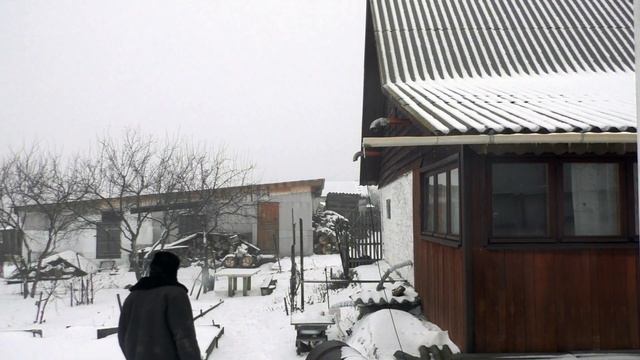 Новогоднее поздравление 2021 от Никанорыча и Гаврюши Cooksbrazerhooks смотреть онлайн