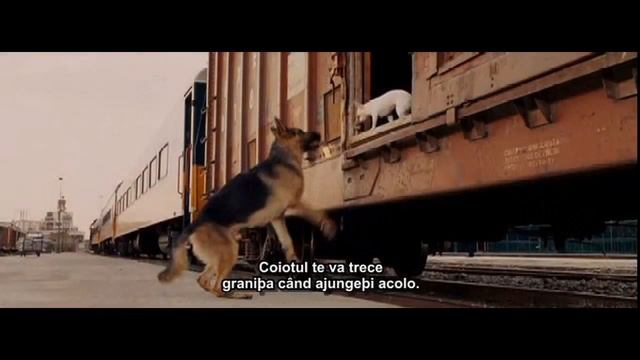 Beverly Hills Chihuahua смотреть онлайн