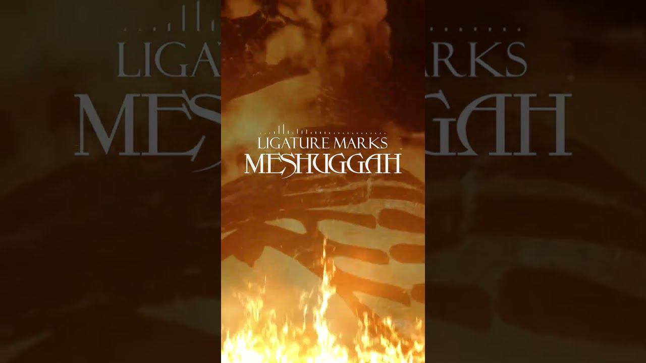 Meshuggah - Ligature Marks (Breakdown) #shorts смотреть онлайн