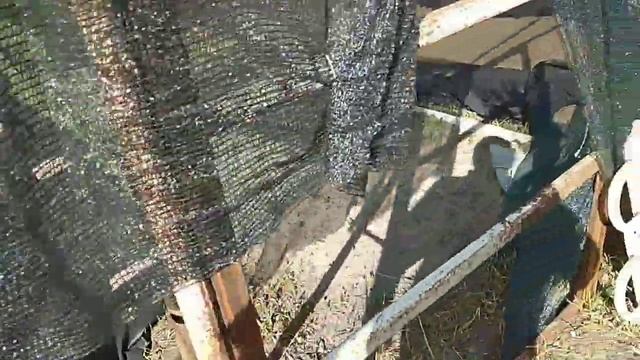 КАК СДЕЛАТЬ ТЕПЛИЦУ,ПАРНИК СВОИМИ РУКАМИ ДЛЯ ЧЕРЕНКОВАНИЯ,РАЗМНОЖЕНИЯ ДЕКОРАТИВНЫХ КУЛЬТУР. смотреть онлайн