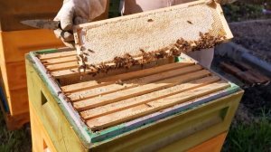 Верхняя вентиляция в ППУ ульях Нижегородец