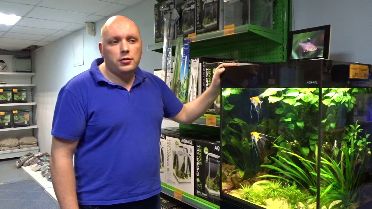 Инвентарь для обслуживания #аквариума смотреть онлайн