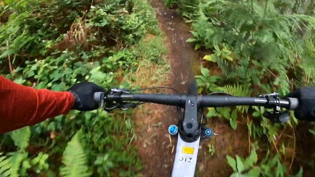 MTB | Testing Orbea Oiz 2023 смотреть онлайн
