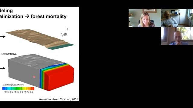 Holly Michael - 3rd virtual seminar on submarine groundwater discharge смотреть онлайн