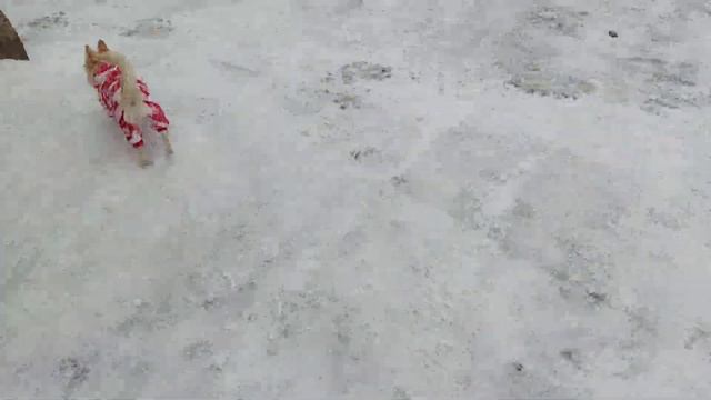 Ужасное Качество/Наполнитель в ПОДУШКАХ Скомкался, ПРОСТЫМ СПОСОБОМ ВОССТАНОВИЛА ПОДУШКИ. смотреть онлайн