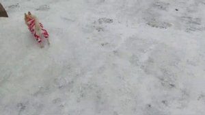 Ужасное Качество/Наполнитель в  ПОДУШКАХ Скомкался,  ПРОСТЫМ СПОСОБОМ ВОССТАНОВИЛА ПОДУШКИ.