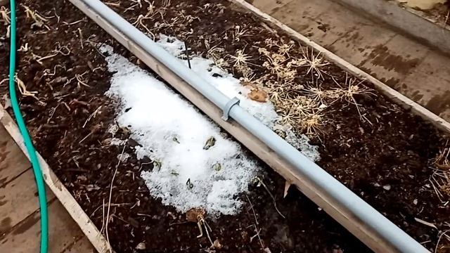 Зачем весной бочки с водой в теплице-Why do you need barrels of water in the greenhouse in the spri смотреть онлайн