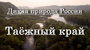 Дикая природа России - Таёжный край