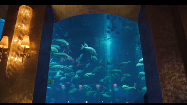 ДУБАЙ для БОГАТЫХ. Что НЕ УВИДЕТЬ БЮДЖЕТНОМУ туристу. Самые дорогие развлечения в Дубае. смотреть онлайн