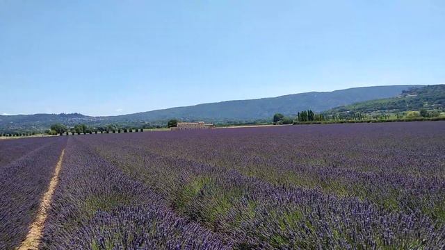 Provence. смотреть онлайн