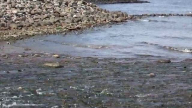 ПЕТЕРГОФ ФОНТАНЫ и детские радости