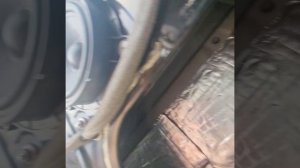 Разборка карты двери, снять обшивку, виброизоляция - шумоизоляция Renault Megane 3 Универсал Меган