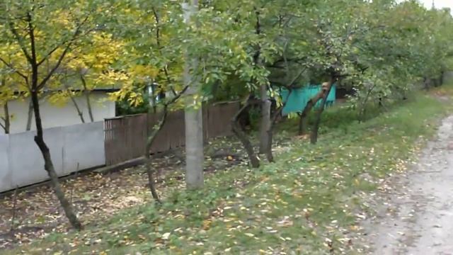 #украина черкасская #область село #веремиевка #Мексиканец ТВ смотреть онлайн