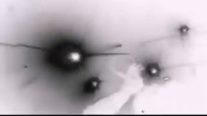 Amatory -  Осколки