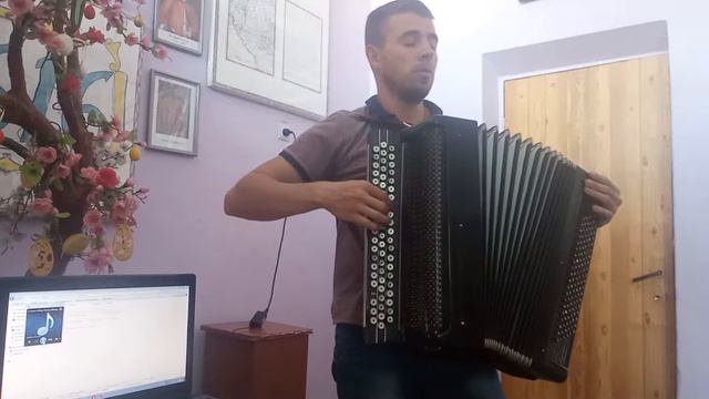 Nelly Ciobanu Hora din Moldova (bayan cover) смотреть онлайн