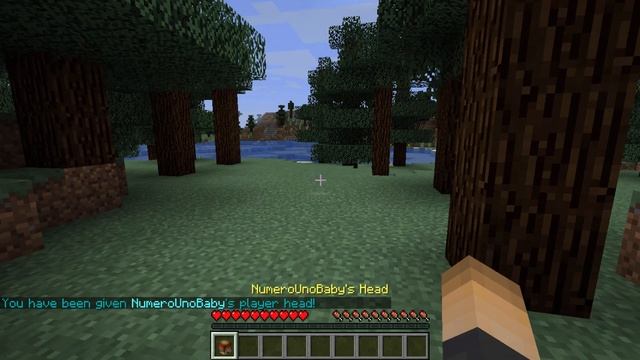 ULTIMATE MOB HEADS! | Minecraft Plugin Tutorial смотреть онлайн