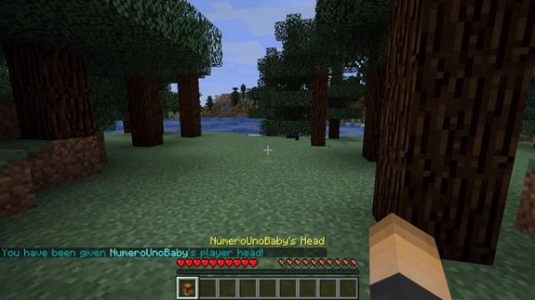 ULTIMATE MOB HEADS! | Minecraft Plugin Tutorial