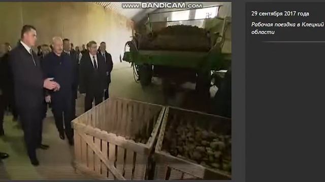 КАРТОШКА СТАЛА МЕЛКОЙ смотреть онлайн