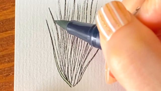 【 イラスト 】ティランジア・ジュンセアを描いていく | Tillandsia juncea смотреть онлайн