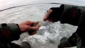 Ловля окуня на балансир рапала. Зимняя рыбалка на окуня.