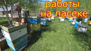 РАБОТЫ на ПАСЕКЕ!!! Обо всём по немногу!