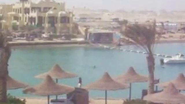 hotel Palma de Mirette смотреть онлайн