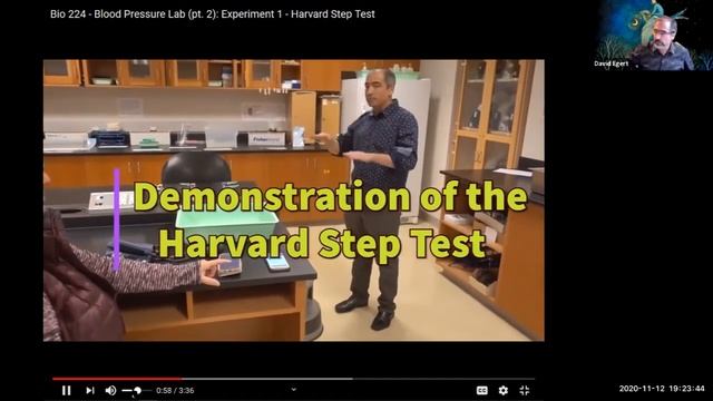 Human Physiology Laboratory - 12 November 2020 -Research Project/Blood Pressure Lab Continues смотреть онлайн