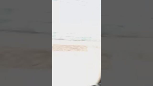 Поездка на автобусе 500 с Прибрежного проезда на станцию метро Водный стадион 31 марта 2021 год