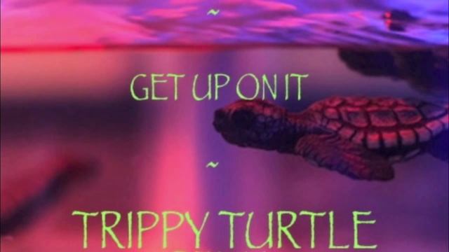 Kute Klose - Get Up On It (TRIPPY TURTLE Remix) | HD смотреть онлайн