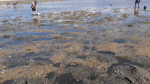 La Baule-Escoublac, Loire Atlantique, France/Атлантическая Луара, Ла-Боль-Ескублак, Франция.