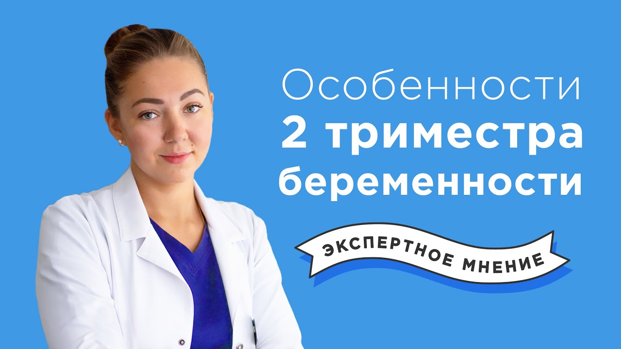 Второй триместр беременности | Почему хочется мела? смотреть онлайн