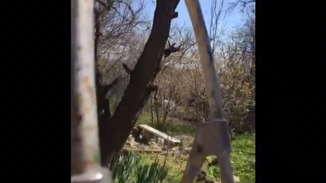 Эпизод 16: «Опасное Дело» Маленькие истории удачной дачи 😄 смотреть онлайн